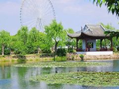 -无锡蠡湖国家湿地公园-蠡园