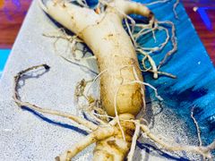 鲜人参锅底-千岛蚝高压锅生蚝·人参火锅(白云万达店)