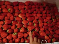 草莓-西郊国际农产品交易中心