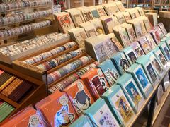 零售区-猫的天空之城概念书店(束河店)
