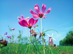-漩门湾国家湿地公园