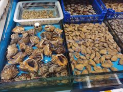 -威海海鲜王(窑头路店)