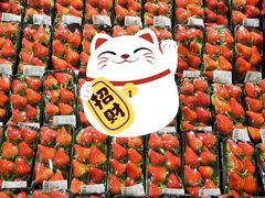 -伊藤洋华堂(温江店)