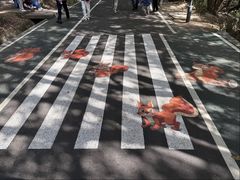 -惠山国家森林公园