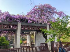 -郑和公园