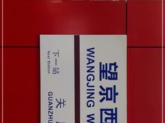 -望京西(地铁站)