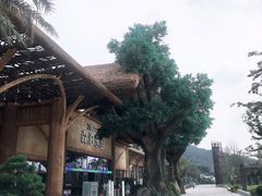 -杭州开元森泊度假乐园