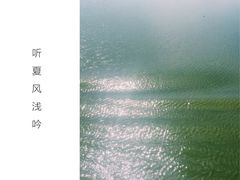 微山湖湿地红荷旅游风景区-微山湖红荷湿地景区