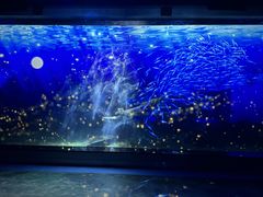 -顺德南宏海立方海洋公园