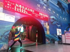 -蓬莱欧乐堡海洋极地世界