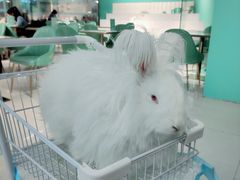 -新佳丽时尚广场