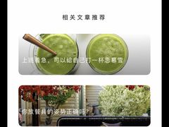 马兰头馄饨-兴农记