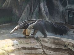 -杭州野生动物世界