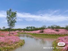 -花开海上生态园
