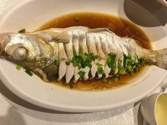 -金美华轩(东方路齐鲁店)