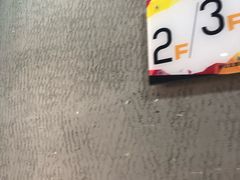 -静安区体育馆