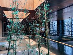 -广州富力君悦大酒店空中花园