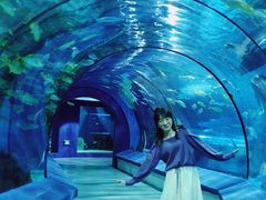 -福州罗源湾海洋世界旅游区