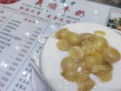 -义顺牛奶公司(新马路老店)