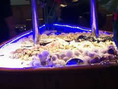 -阳光牧场自助餐厅(宝德购物中心店)