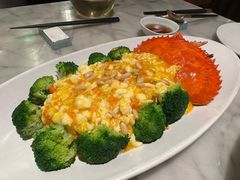 -蝶园·装修中(BFC外滩金融中心店)