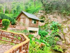 -灵光寺