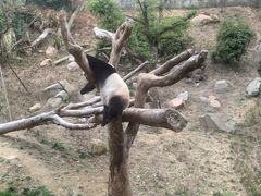 -宁波野生动物园