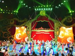 -珠海横琴长隆《卡卡虎奇遇记》