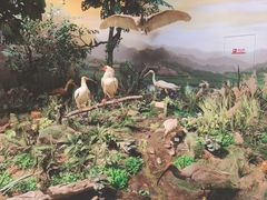 -陕西自然博物馆