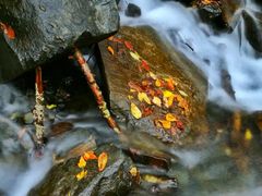 -叠溪松坪沟景区
