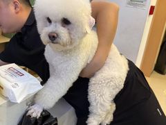 -悠尼宠物·独立低压伊珊娜洗护·美容·寄养(兰谷路店)