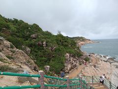 -广东惠东海龟国家级自然保护区