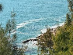 -广东惠东海龟国家级自然保护区