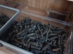 -宫品海参专卖店(静安大宁店)