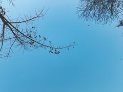 -自然谷恐龙园
