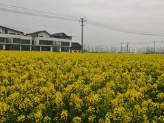 -东梓关景区村庄