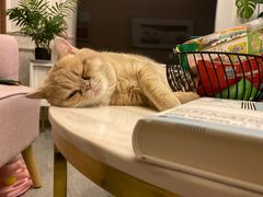 -仲家汇超市(经三路店)