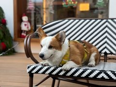 -Line 咖啡(石厦花园店)