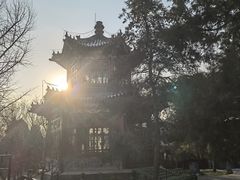 -宣武艺园