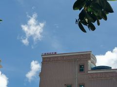 -杨梅坑