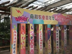 -南和农业嘉年华