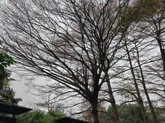 -晓港公园