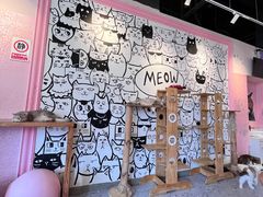 -喵匠猫主题咖啡(凯德和平广场店)