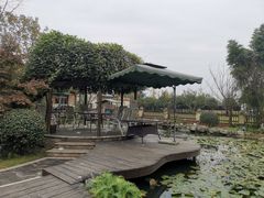 -洪湖家庭农场·团建·露营·会议