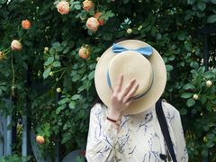 -杭州观成实验学校