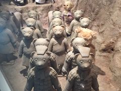 -济州岛泰迪熊博物馆