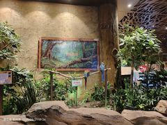 -杭州开元森泊度假乐园