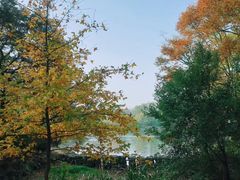 -紫霞湖公园