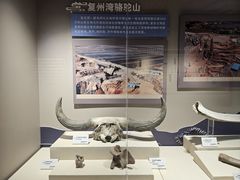 -大连金州博物馆