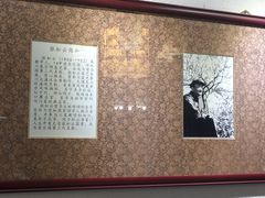 -松云泽